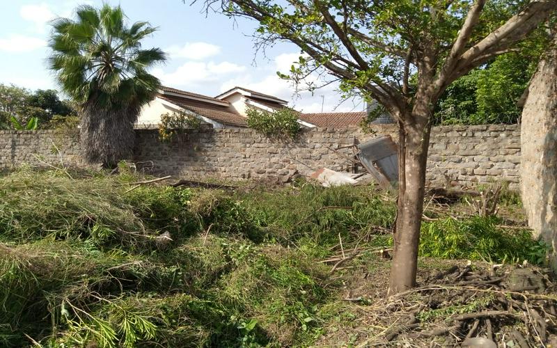 Thika Landless Plot for Sale | Secure 100x100 Land with Servant Quarters & Trees