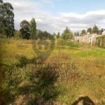 Prime 2 Plots (50x100) for Sale in Ragati, Karatina Karura Road, Near Dad’s Place Restaurant