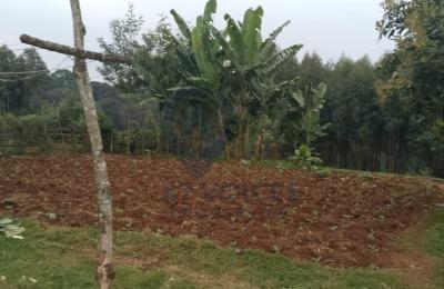 3/4 Acre Land for sale Near Ragati Tea Factory – KSh 6.3M
