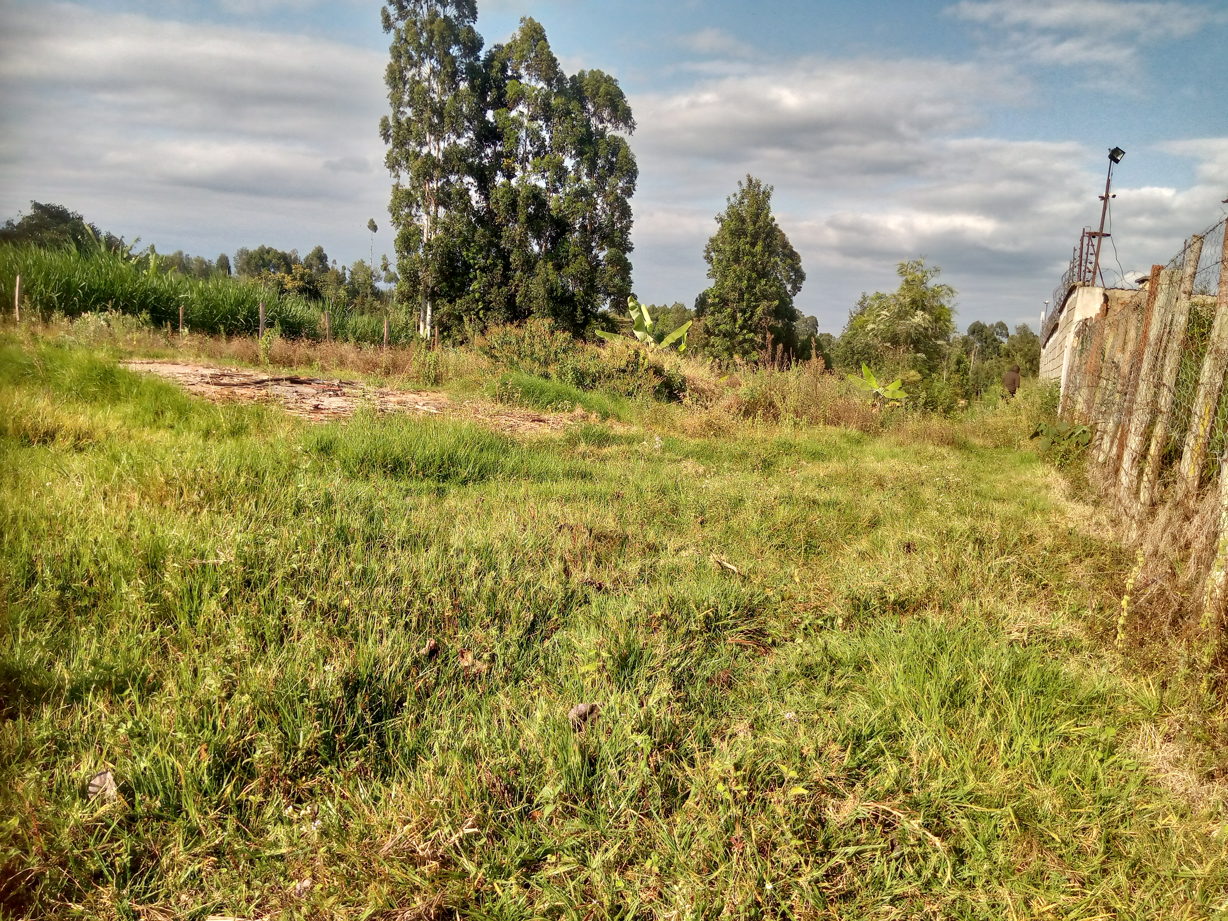 Prime 2 Plots (50x100) for Sale in Ragati, Karatina Karura Road, Near Dad’s Place Restaurant